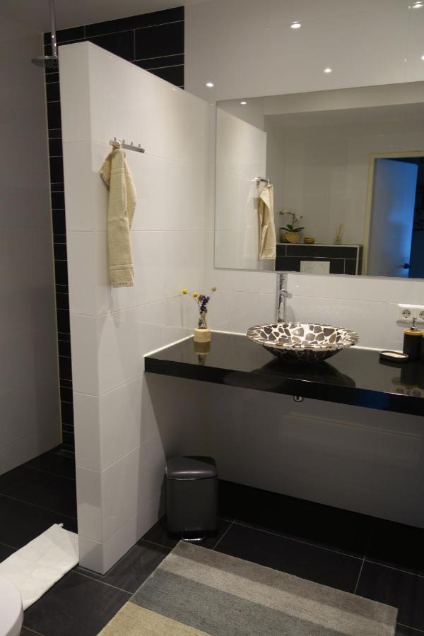 Zeesterflat 117 Егмонд ан Зее Екстериор снимка