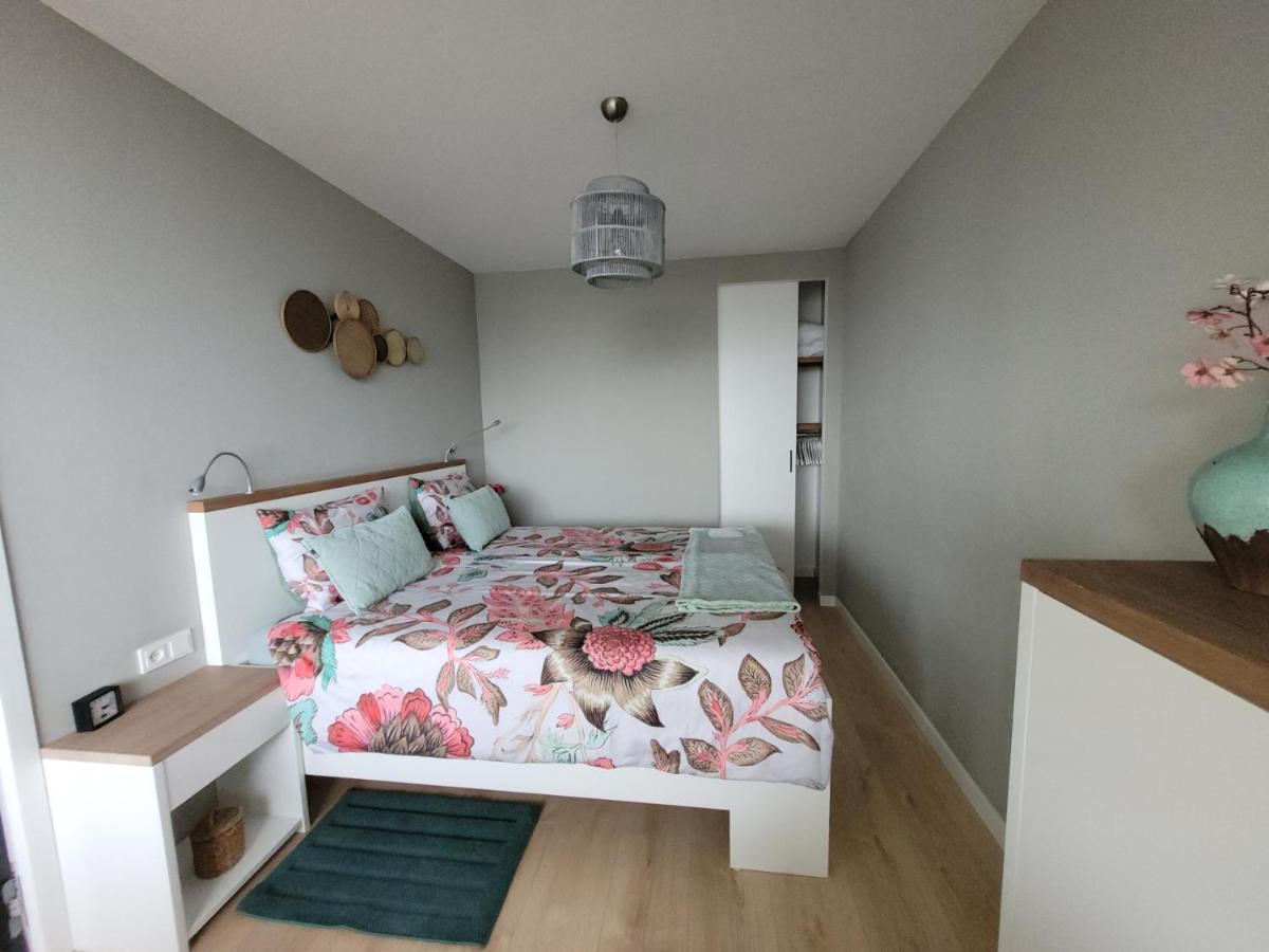 Zeesterflat 117 Егмонд ан Зее Екстериор снимка